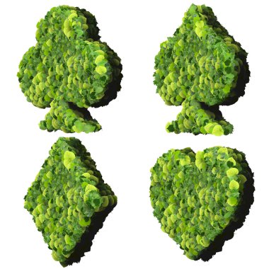 İskambil kartı Eko simgesi, maça, club, elmas, kalp, yeşil yapraklarından yapılmış.