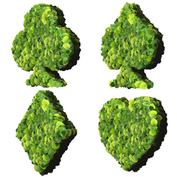 İskambil kartı Eko simgesi, maça, club, elmas, kalp, yeşil yapraklarından yapılmış.