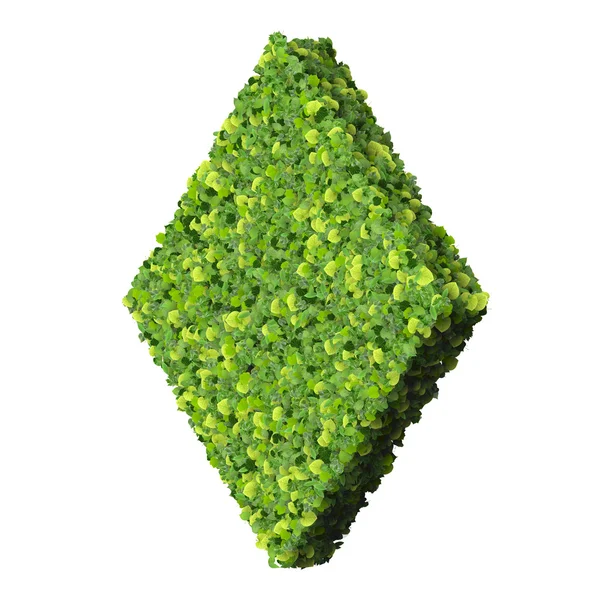 Juego de cartas eco icono de diamante, hecho de hojas verdes aisladas sobre fondo blanco. Renderizado 3D . —  Fotos de Stock