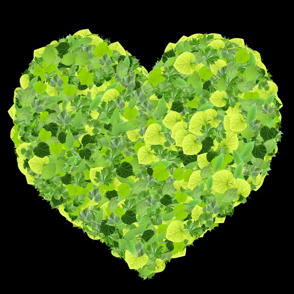 Playing card eco icon heart, made from green leaves isolated on white background. 3D render. — Stock Photo, Image