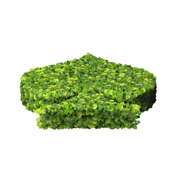Carta da gioco eco picche icona, fatta di foglie verdi isolate su sfondo solido. Rendering 3D . — Foto Stock