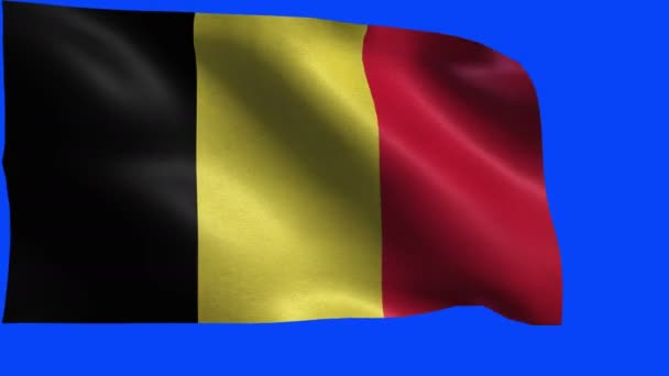 Royaume de Belgique, Drapeau de Belgique - LOOP 