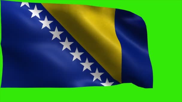 Flag of Bosnia and Herzegovina - loop