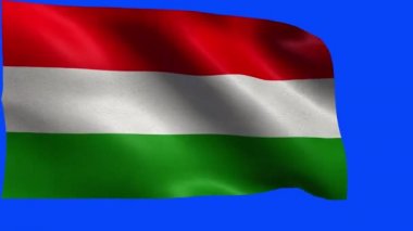 Macaristan, Macar bayrakları - döngü bayrağı