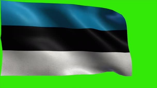 República de Estonia, Bandera de Estonia, Bandera de Estonia - LOOP — Vídeos de Stock