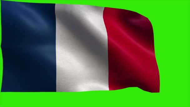 Bandera de Francia, Bandera de Francia - LOOP — Vídeo de stock