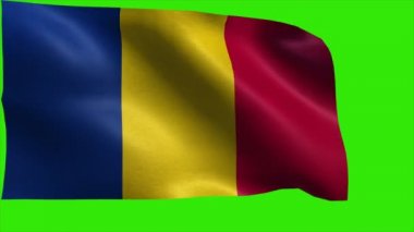 Romanya, Romanya bayrağı - döngü bayrağı