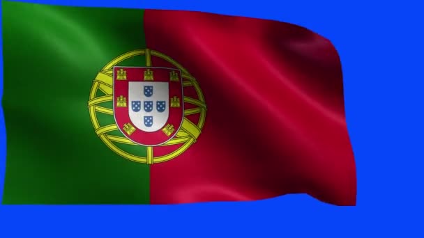 Portugiesische Republik, Flagge Portugals - Schleife — Stockvideo