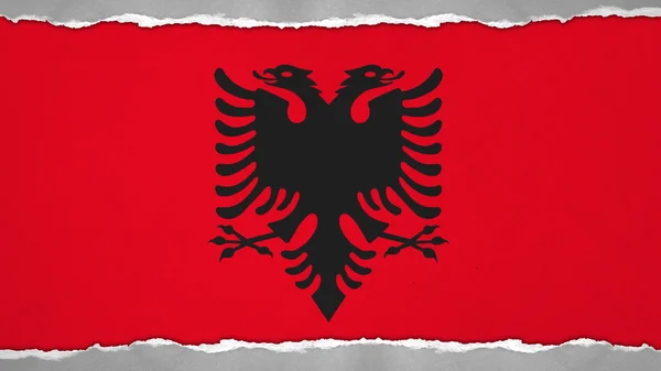 Flag of Albania, Albanian Flag painted on paper texture