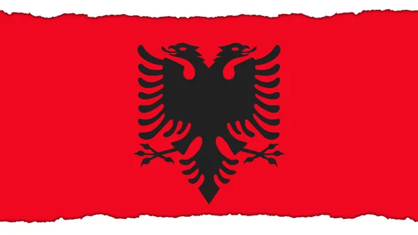 Bandera de Albania, Bandera de Albania pintada sobre papel textura — Foto de Stock