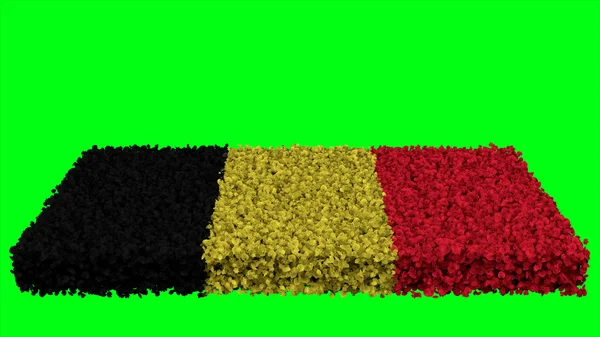 Bandeira da Bélgica, bandeira da Bélgica feita de folhas — Fotografia de Stock