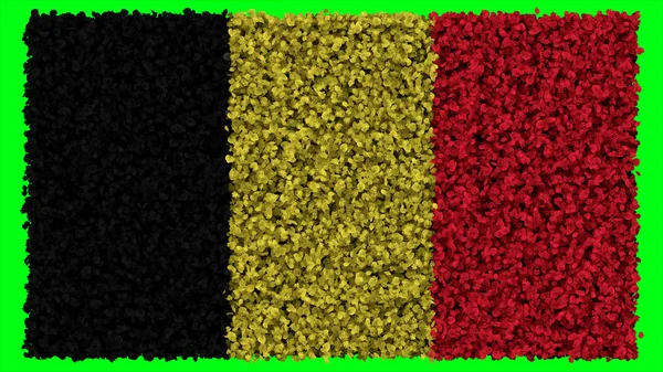 Bandeira da Bélgica, bandeira da Bélgica feita de folhas — Fotografia de Stock