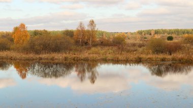 Sonbahar doğal manzarası. Kartpostallar ve takvimler için. 2.