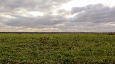 Banliyödeki güzel yaz manzarası. Rusya