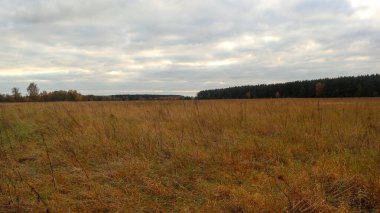 Banliyödeki güzel sonbahar manzarası. Rusya 9