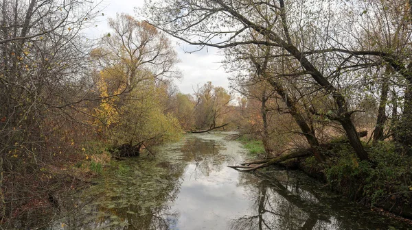 Paysage Naturel Automne Pour Cartes Postales Calendriers — Photo