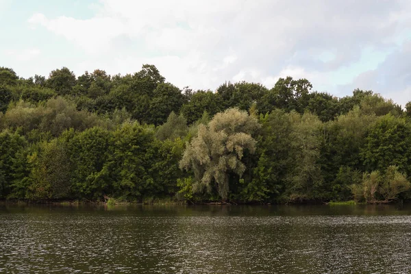 Rzeka Drzewami Plaży Zachodzie Słońca — Zdjęcie stockowe