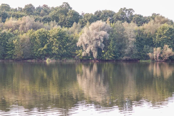 Forêt Verte Bord Rivière Dans Réflexion Dans Eau Beauté Dans — Photo