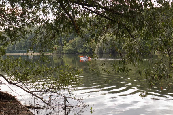 Dwa Kajaki Przyjaciół Rzece Pomiędzy Pięknym Zielonym Lasem Zachodzie Słońca — Zdjęcie stockowe