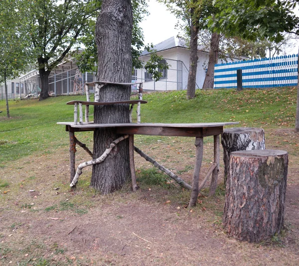 有绿草家庭度假 林地椅子的自制木制桌子 — 图库照片