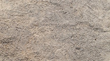 Sahile yakın çekim.