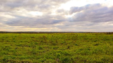 Yeşil çimenlerin üzerindeki bulutlu gökyüzünde yaz günbatımı