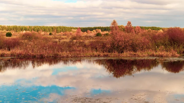 Осенний пейзаж отражается в воде реки. — стоковое фото