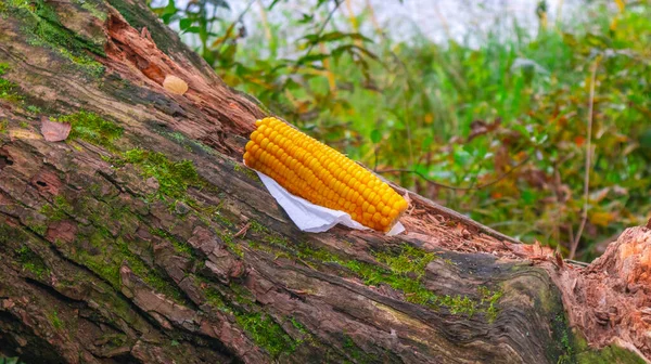 Cob kukuryza egy szalvétán és egy kidőlt fán a természet homályos hátterén — Stock Fotó