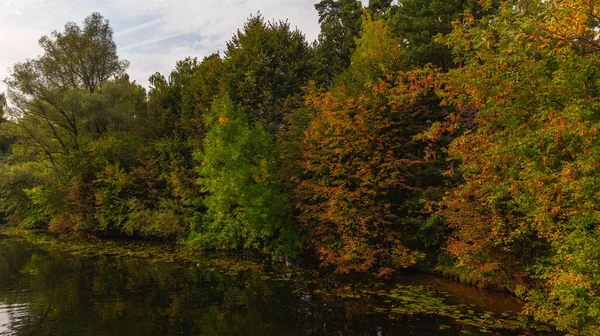 Renkli ağaçların ve göllerin sakin sonbahar karamsarlığı. — Stok fotoğraf