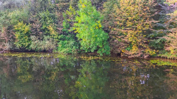 Reflection of the autumn forest in the water of a deep lake. — Photo