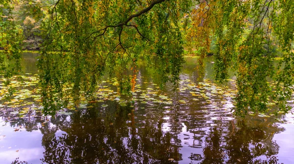 Beautiful autumn landscape with a lake and colorful trees — Stock Photo, Image