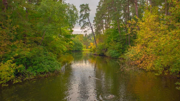 Die Aussicht auf einen Fluss, umgeben von einem herbstlichen Wald. — Stockfoto