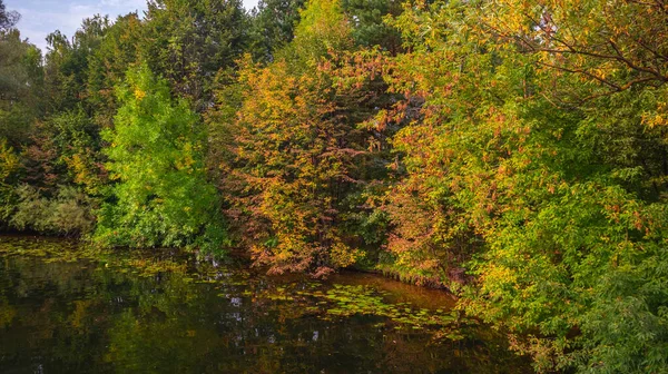 Осенний лес в теплых тонах на берегу заброшенного озера — стоковое фото