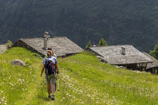 Trekking — Stock Photo, Image