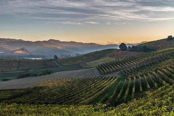 Langhe Images De Stock Libres De Droits