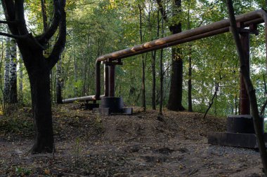 Yaz ormanlarında yeşil yapraklı ağaçlar arasında paslı, kavisli metal borular. Rusya