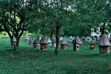 Eski ahşap arı kovanları üçgen çatılarda ve kepleri yeşil ormandaki ağaçların arasında duruyor.