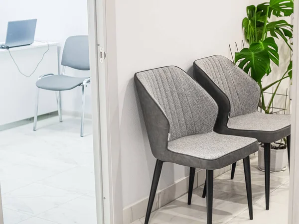 Ön planda iki boş gri tasarımcı sandalyesi ve yeşil ev bitkisi var. Beyaz bir kliniğin içindeki bir tıbbi bekleme odasında. Doktorun ofis geçmişini aç