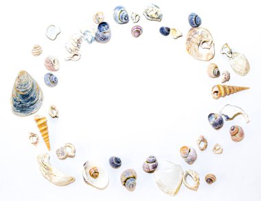 Beyaz arka planda küçük deniz mavisi turuncu pembe deniz kabukları ve değişik boyutlarda şekiller. Tasarım şablonu