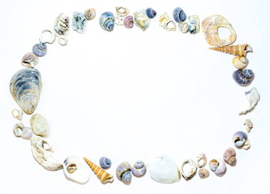 Geometrik elips çerçeve küçük deniz boyalı turuncu pembe pembe deniz kabukları beyaz arka planda farklı şekiller. Tasarım şablonu