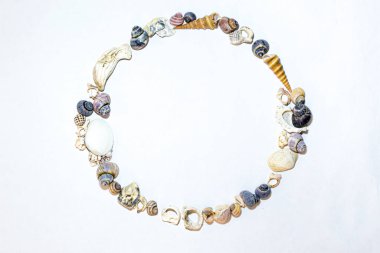 Geometrik yuvarlak çerçeve, beyaz arka planda farklı şekillerde turuncu mavi pembe deniz kabukları. Tasarım şablonu