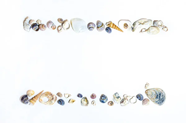 白い背景に異なる形状の小さな海洋色の貝殻の2つの行を持つデザインフレームテンプレート — ストック写真