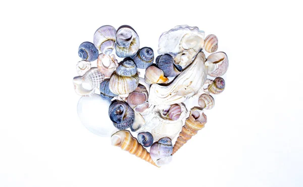 Seashell Heart Shape Small Marine Colored Orange Blue Pink Violet — Stock Photo, Image