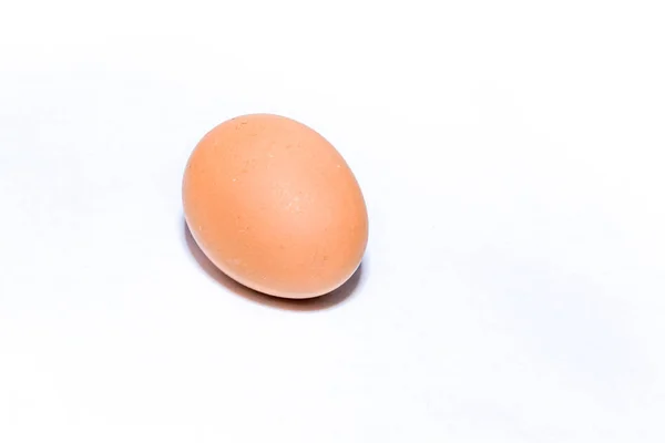卵の中に1個のオレンジ色の斑点のある茶色の卵が 影のある白い背景にあります 空白の背景 — ストック写真