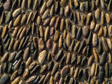 Şehir parkında çimento yolunda aynı büyüklükte yuvarlak ve düz taşlar. Tasarım izi. Sıcak renkler