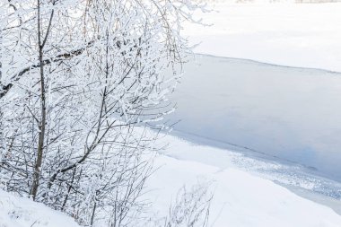 Dalları kabarık beyaz karlı ince ağaçlar kıyıda kışın mavi bir nehrin arka planına karşı