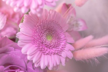 Buketinde taç yaprakları olan güzel, pembe bir çiçek. Yakın plan. Makro