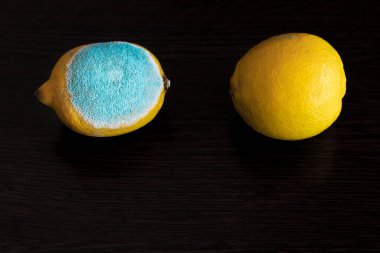 Koyu ahşap bir masada iki büyük sarı limon. Bir limon turkuaz desenli, bir limon normal, olgun. Bozuk Meyve Konsepti. Metin için yer