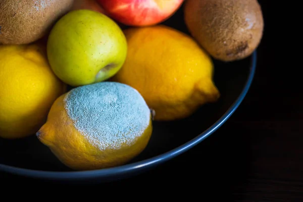 Limão Estragado Com Molde Texturizado Azul Claro Entre Frutas Inteiras — Fotografia de Stock