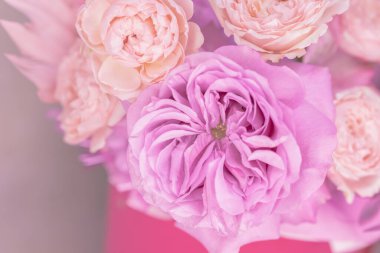 Light pink, purple, peach colour, white cute delicate small roses of different sizes, flowers in a lush bouquet. Close-up. Macro